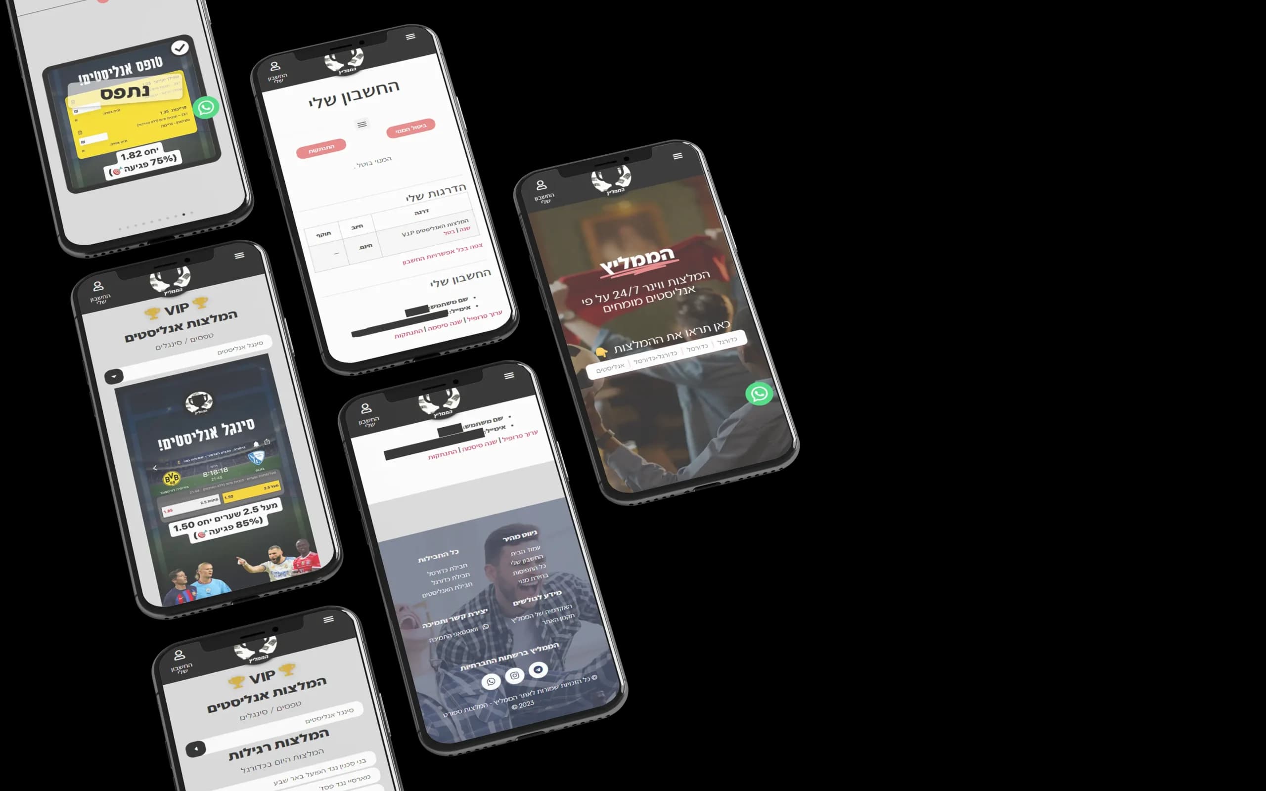 הממליץ - המלצות ווינר - תצוגה 1